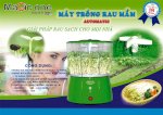 Máy Trồng Rau Mầm Nào Hiệu Quả Nhất Hiện Nay