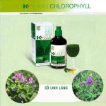 Nước Diệp Lục K-Link Chlorophyll Liquid