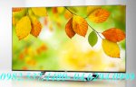 Phân Phối Tivi Samsung 3D: Tivi 3D Samsung 55F8000 Giá Hấp Dẫn