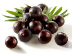 Chiết Xuất Quả Acai Berry