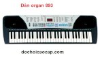Đàn Organ Xy893 Cho Bé Học Nhạc