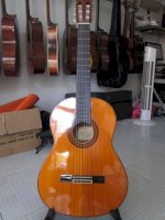 Ban Guitar Classic Yamaha Quy Hiem Cua Nhat Yamha G231Ii 