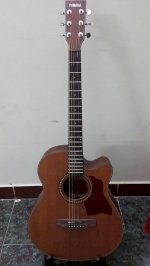 Đàn Guitar Yamaha