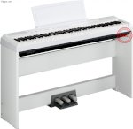 Yamaha Digital Piano P-105 (Đen/Trắng) Giá Sốc