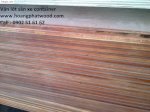Ván Gỗ Container, Plywood Container, Container Pkywood, Sàn Container Hpw