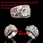 Nhẫn Nam Phong Thủy Skymond Jewelry