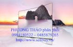 Phân Phối Tivi Oled 3D Lg 55Ea970T Full Hd Smart Tv Giá Đã Giảm Ngày Hôm Nay