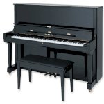 Yamaha   U1D