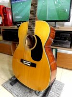 Guitar Acoustic Thumb By Terada F-150
