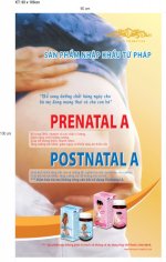 Prenatal A - Thực Phẩm Bổ Sung Vitamin Cho Bà Bầu