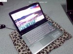 Cần Bán Laptop Sony Vaio Đẹp