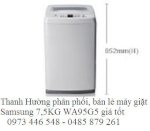 Phân Phối Máy Giặt Samsung 7,5Kg Wa95G5