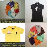 Áo Thun Trẻ Em Hiệu Tommy, Adidas , Polo, Lacoste, Buberry - Toàn Quốc