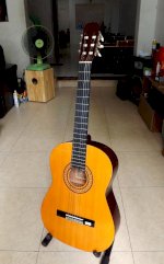 Guitar Classic Mavis Mc-100 Giá 3.900.000Đ