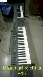 Bán Đàn Piano Yamaha U3E, Yamaha Electone, Organ Giá Rẻ Các Loại Tại Biên Hòa