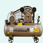 Máy Nén Khí Pegasus Tm-V-0.17/8-100L