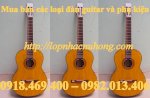 Nụ Hồng: Đàn Guitar Classic, Guitar Acoustic Cỡ Thường Và Cỡ Nhỏ
