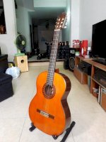 Guitar Classic Kasuga G-316 Giá 6.200.000Đ