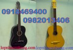Cửa Hàng Nhạc Cụ Nụ Hồng , Cơ Sở Sản Xuất Đàn Guitar , Bán Đàn Guitar Giá Rẻ