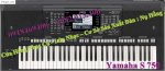 Đàn Organ Yamaha S 750