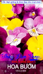 Hạt Giống Hoa Hoa Bướm Viola (Viola Mix)