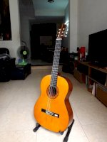 Guitar Classic Kasuga G-150 Giá 3.500.000Đ