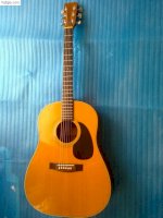 Bán Acoustic Guitar Suzuki W 250