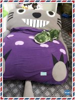 Đệm Thú Bông Totoro Dt107