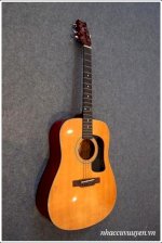 Guitar Washburn D 10N, Morris W 18, Kansas W 200.