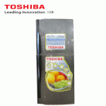 Tủ Lạnh Toshiba Gr-S19Vpp(Ds) (171 Lit)