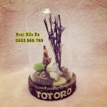 Mô Hình Hộp Nhạc Totoro Xoài Xấu Xa Shop