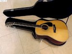 Guitar Acoustic: Morris Mv 702 Morris Md 510 Yamaha Fg 301B Morris W 20 Yamaha F