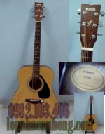 Guitar Acoustic Yamaha Made In Japan , Guitar Acoustic Cort Made In Indonesia