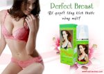 Kem Nở Ngực Tự Nhiên Perfect Breast - Pháp