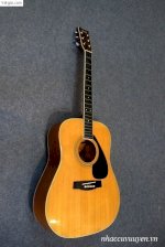 Guitar Yamaha Nhật Fg-251B