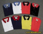 Polo Springfield- 3 Size S M L - Form Slimfit
