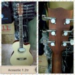 Đàn Guitar Acoustic F120