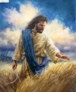 Tranh Thêu Chữ Thập Chúa Jesus Trên Cánh Đồng Gặt Lúa Mì