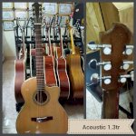 Đàn Guitar Acoustic F130