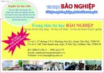 Hoc Tin Hoc Van Phong Bang B O Dau Tot Nhat