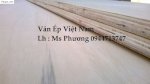 Ván Ép 18Mm Chịu Nước Giá Rẻ, Ván Ép Chất Lượng Cao 18Mm