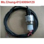 Noding-Pressure Transmitter P115-400-G161- Chuyển Đổi Áp Suất Noding
