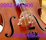 Đàn Violin , Bán Đàn Violin Size 1/4 , 3/4 , 4/4 , 2/4 Giá Rẻ