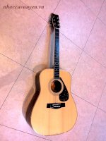 Giai Nhơn Guitar Yamaha Fg-301