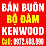 Bộ Đàm Cầm Tay Kenwood Tk-3307( Bộ Đàm Dùng Cho Tòa Nhà Cao Tầng. Nhà Hàng)