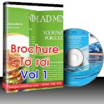 Dvd Brochure - Tờ Rơi Vol 1