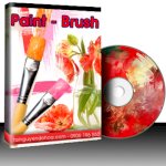 Dvd Thư Viện Đồ Họa Paint - Brush