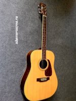 Guitar Acoustic Morris Md-506, Yamaha Fg-301.