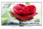 Tv Led Samsung: Tivi Samsung 65Hu8500 4K Uhd 65&Quot; Smart Tv 3D