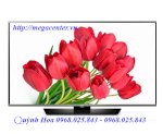 Smart Tv Lg 40Lf630T 40 Inch, Full Hd, Internet Tv, 100Hz Phân Phối Chính Hãng